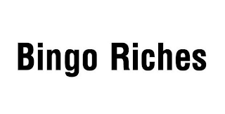 BINGO RICHES logo
