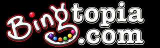 BINGTOPIA.COM logo