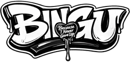BINGU BECAUSE I NEVER GAVE UP logo
