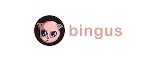 BINGUS logo