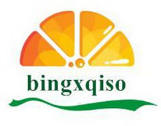 BINGXQISO logo