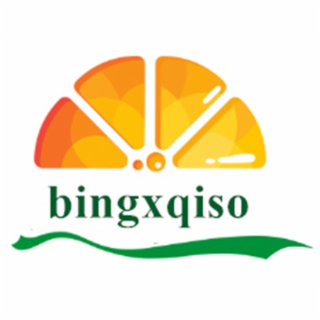 BINGXQISO logo