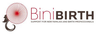 BINI BIRTH SUPPORT FOR NEW FAMILIES AND BIRTH PROFESSIONALS logo