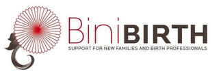 BINI BIRTH SUPPORT FOR NEW FAMILIES AND BIRTH PROFESSIONALS logo