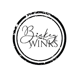 BINKEY WINKS logo
