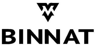 BINNAT logo