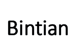 BINTIAN logo