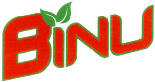 BINU logo