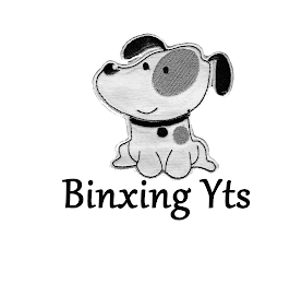 BINXING YTS logo