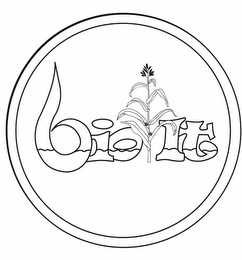 BIO IT logo
