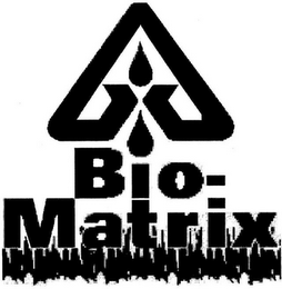 BIO-MATRIX logo