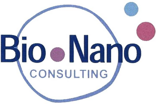 BIO NANO CONSULTING logo