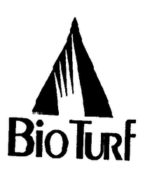 BIO TURF logo