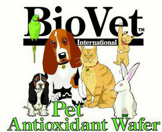 BIO VET INTERNATIONAL ANTIOXIDANT PET WAFER logo