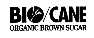 BIO/CANE ORGANIC BROWN SUGAR logo