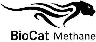 BIOCAT METHANE logo
