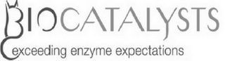 BIOCATALYSTS EXCEEDING ENZYME EXPECTATIONS logo