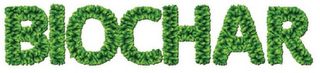 BIOCHAR logo