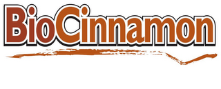 BIOCINNAMON logo