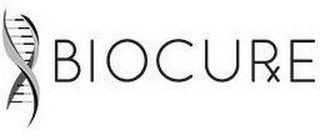 BIOCURE logo
