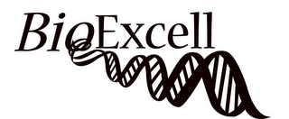 BIOEXCELL logo