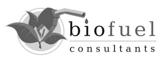BIOFUEL CONSULTANTS logo