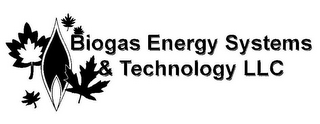 BIOGAS ENERGY SYSTEMS & TECHNOLOGY LLC logo