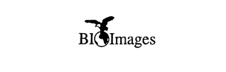 BIOIMAGES logo