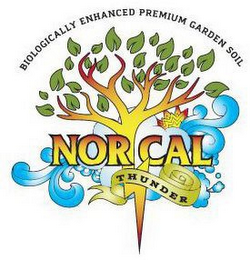 BIOLOGICALLY ENHANCED PREMIUM GARDEN SOIL NOR CAL THUNDER logo