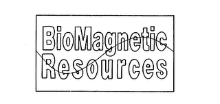 BIOMAGNETIC RESOURCES logo