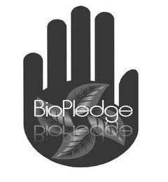 BIOPLEDGE BIOPLEDGE logo
