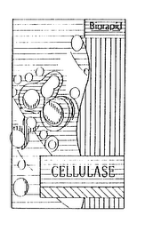 BIORAPID CELLULASE logo