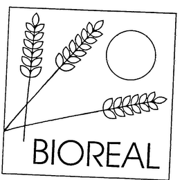 BIOREAL logo