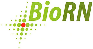 BIORN logo