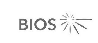BIOS logo