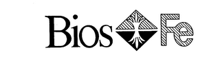 BIOS FE logo