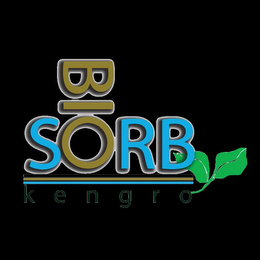 BIOSORB KENGRO logo
