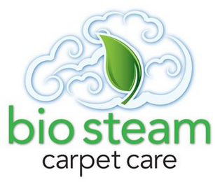 BIOSTEAM CARPET CARE logo