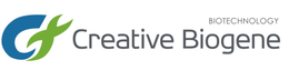 BIOTECHNOLOGY CREATIVE BIOGENE
