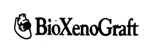 BIOXENOGRAFT logo