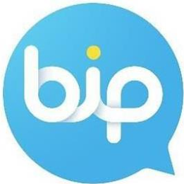 BIP logo