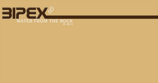 BIPEX WATER FROM THE ROCK IS 48:21 logo
