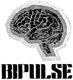 BIPULSE logo