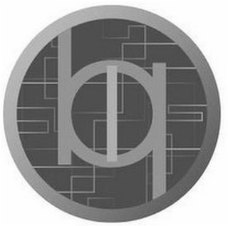 BIQ logo