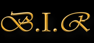 B.I.R logo