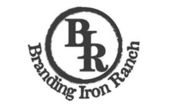 BIR BRANDING IRON RANCH logo