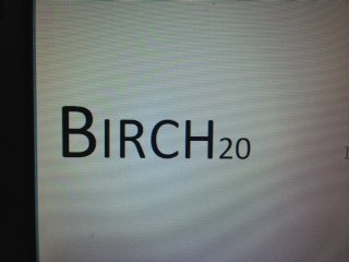 BIRCH 20 logo