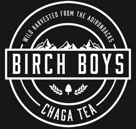 BIRCH BOYS WILD HARVESTED FROM THE ADIRONDACKS CHAGA TEA logo