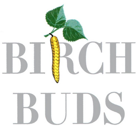 BIRCH BUDS logo