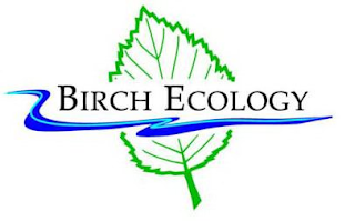 BIRCH ECOLOGY logo